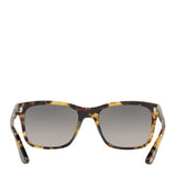 Havana Tortoise Sunglasses