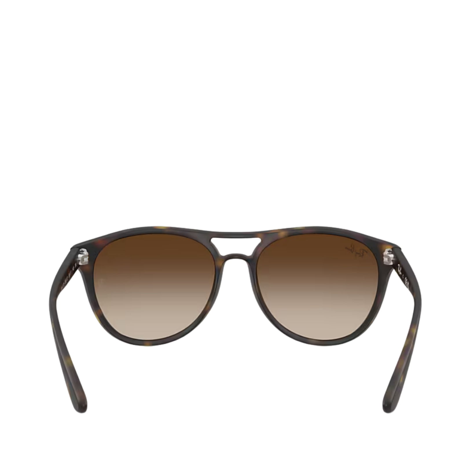 Havana Brown Gradient Sunglasses