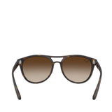 Havana Brown Gradient Sunglasses