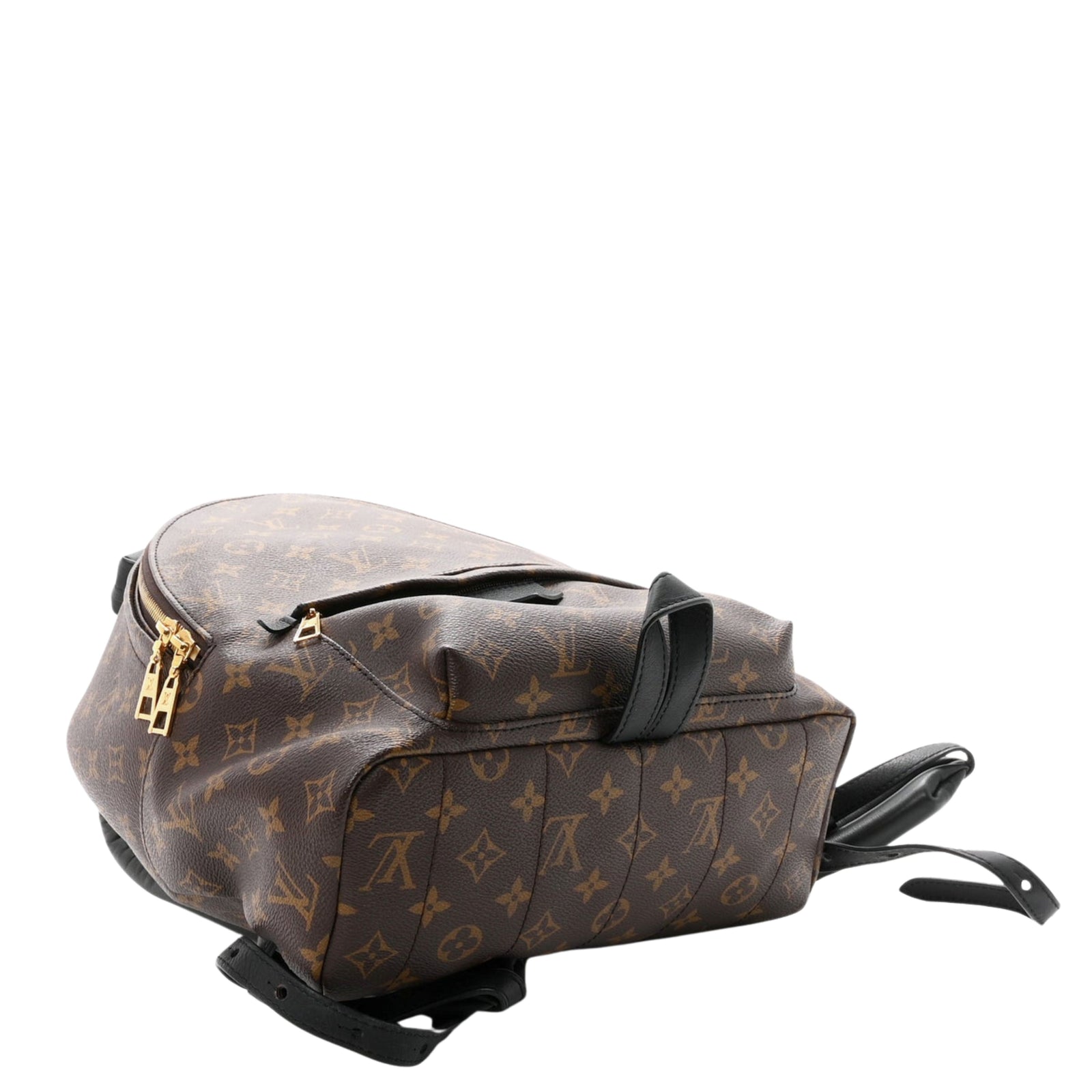 Monogram Palm Springs Backpack MM