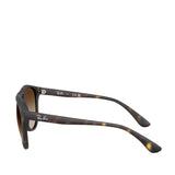 Havana Brown Gradient Sunglasses