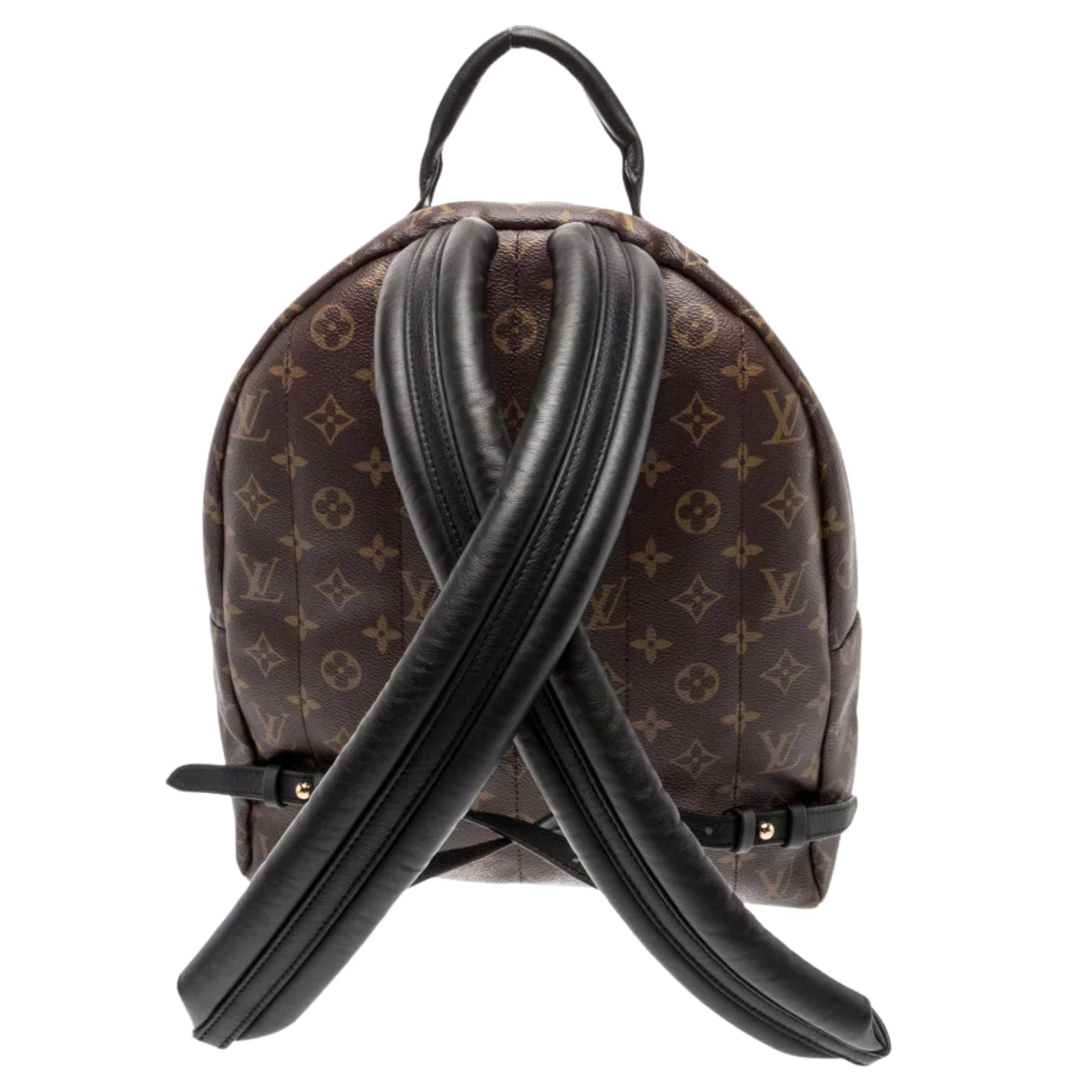 Monogram Palm Springs Backpack MM