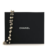 Graduated Pearl Crystal CC Long Necklace Silver