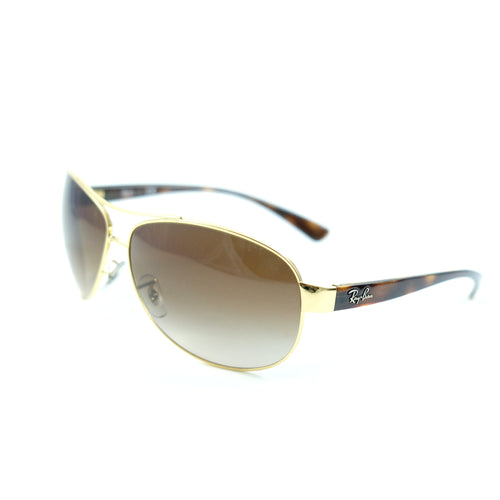Tortoise Sunglasses