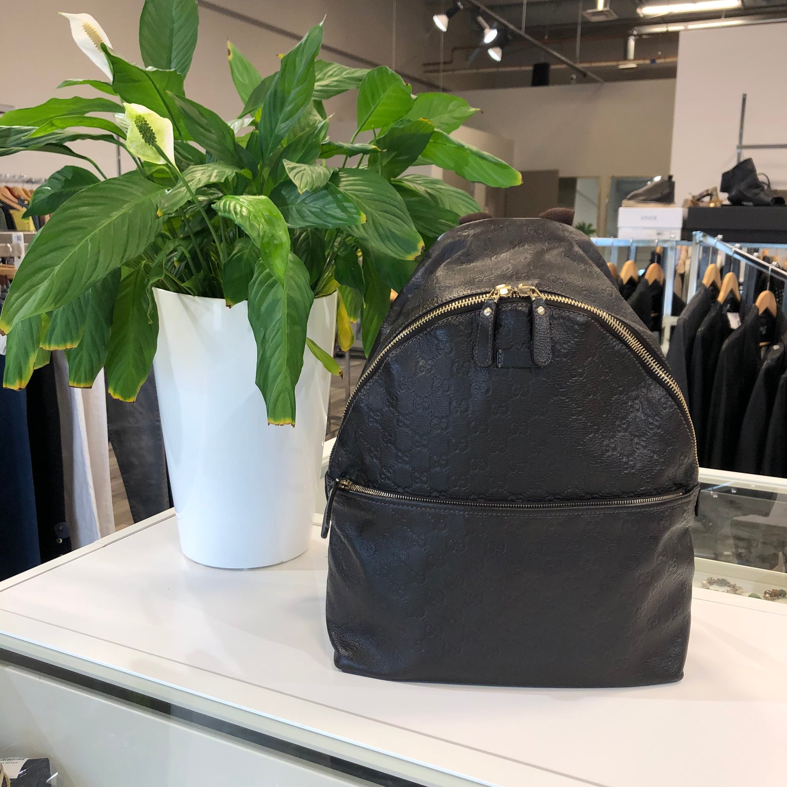 Guccissima Backpack Dark Brown