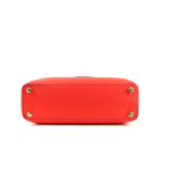 Satchel