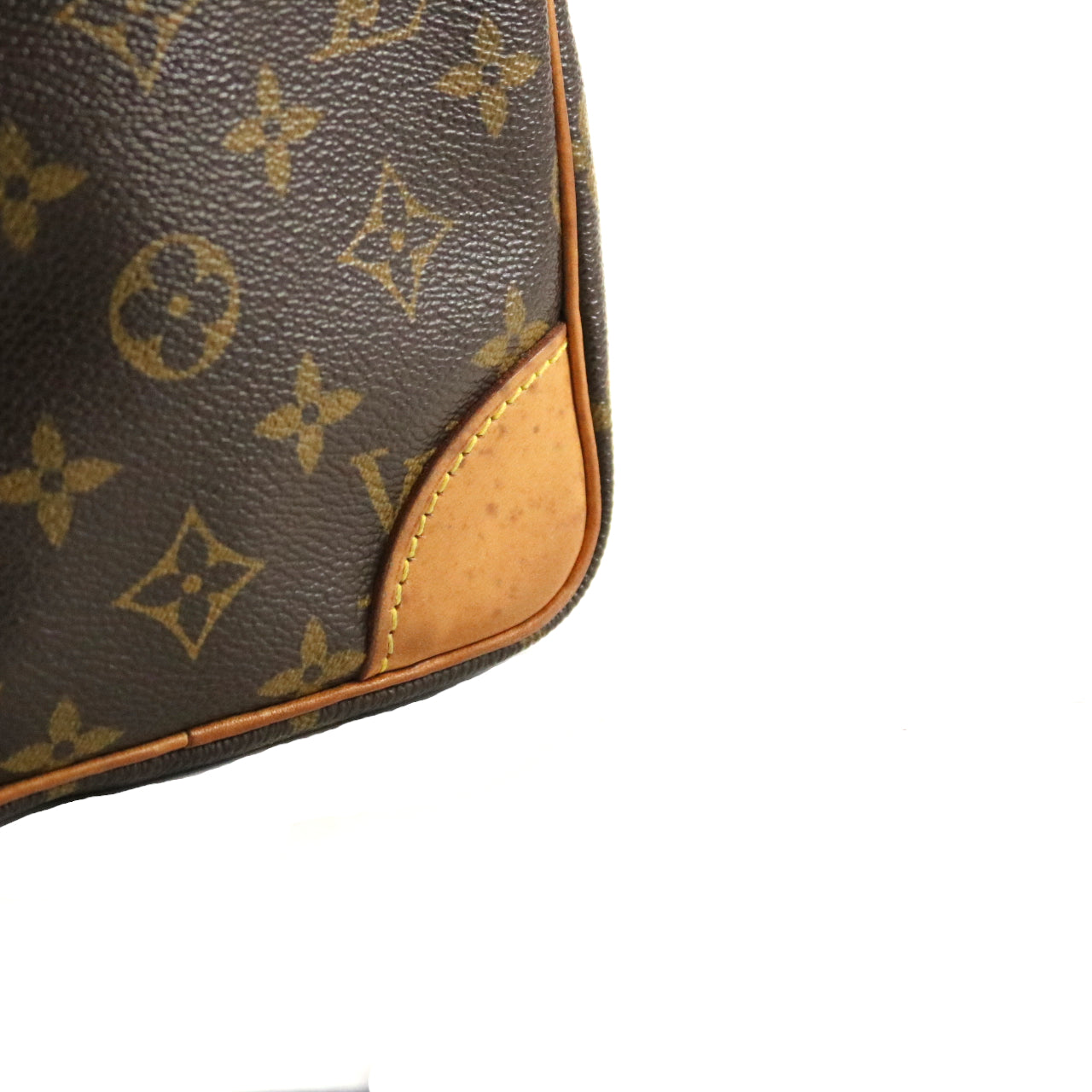 Monogram Danube Crossbody