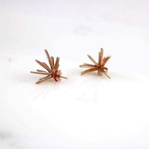 Ray Rose Gold Stud Earrings