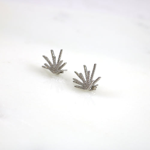 Ray Silver Stud Earrings