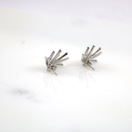 Ray Silver Stud Earrings