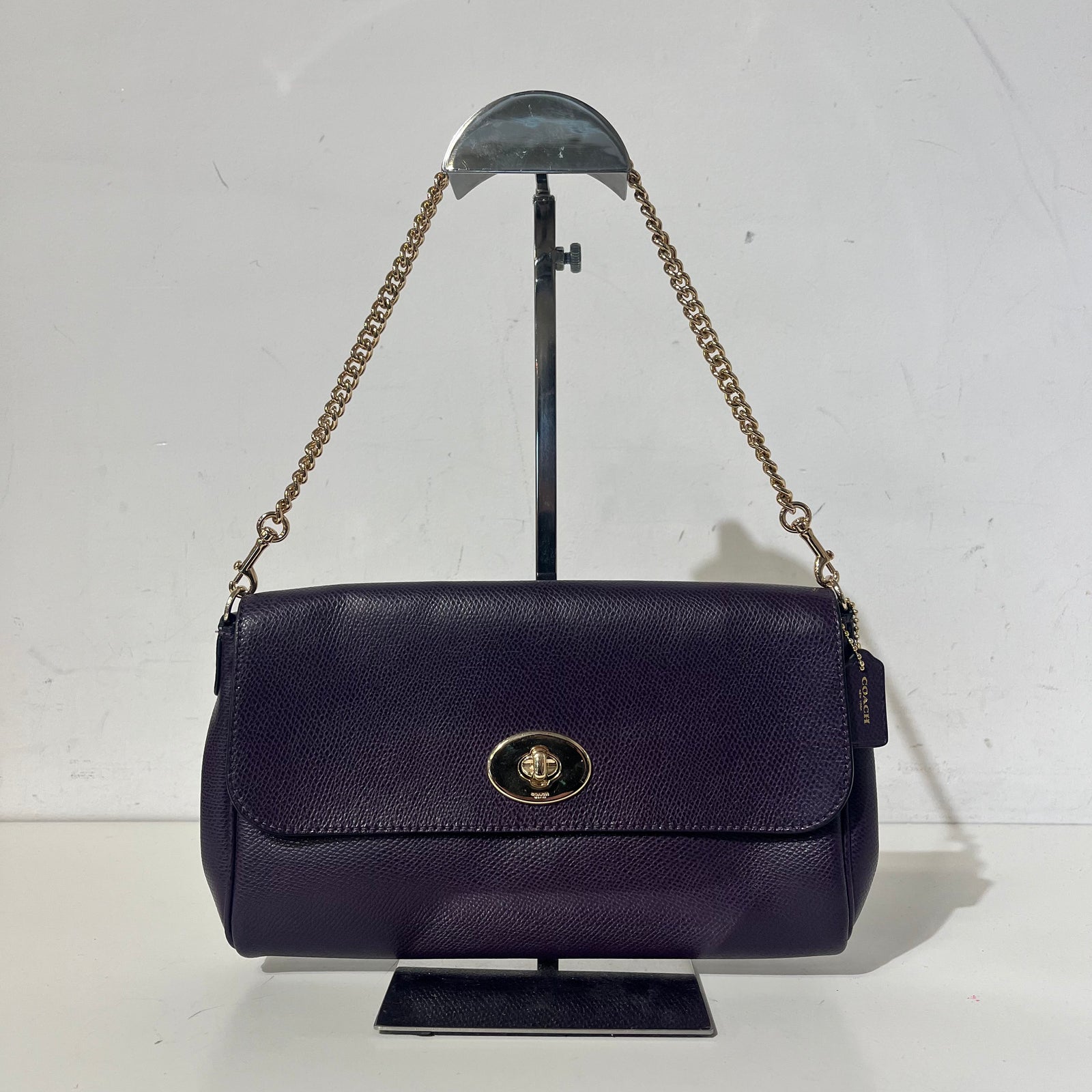 Purple Gold Chain Bag
