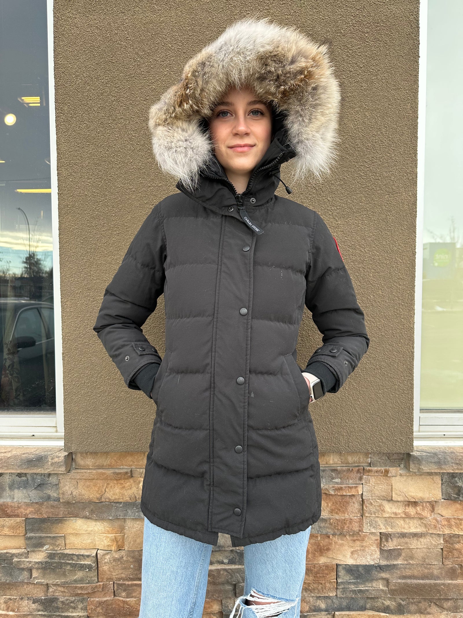 Canada Goose
