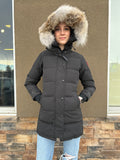Canada Goose