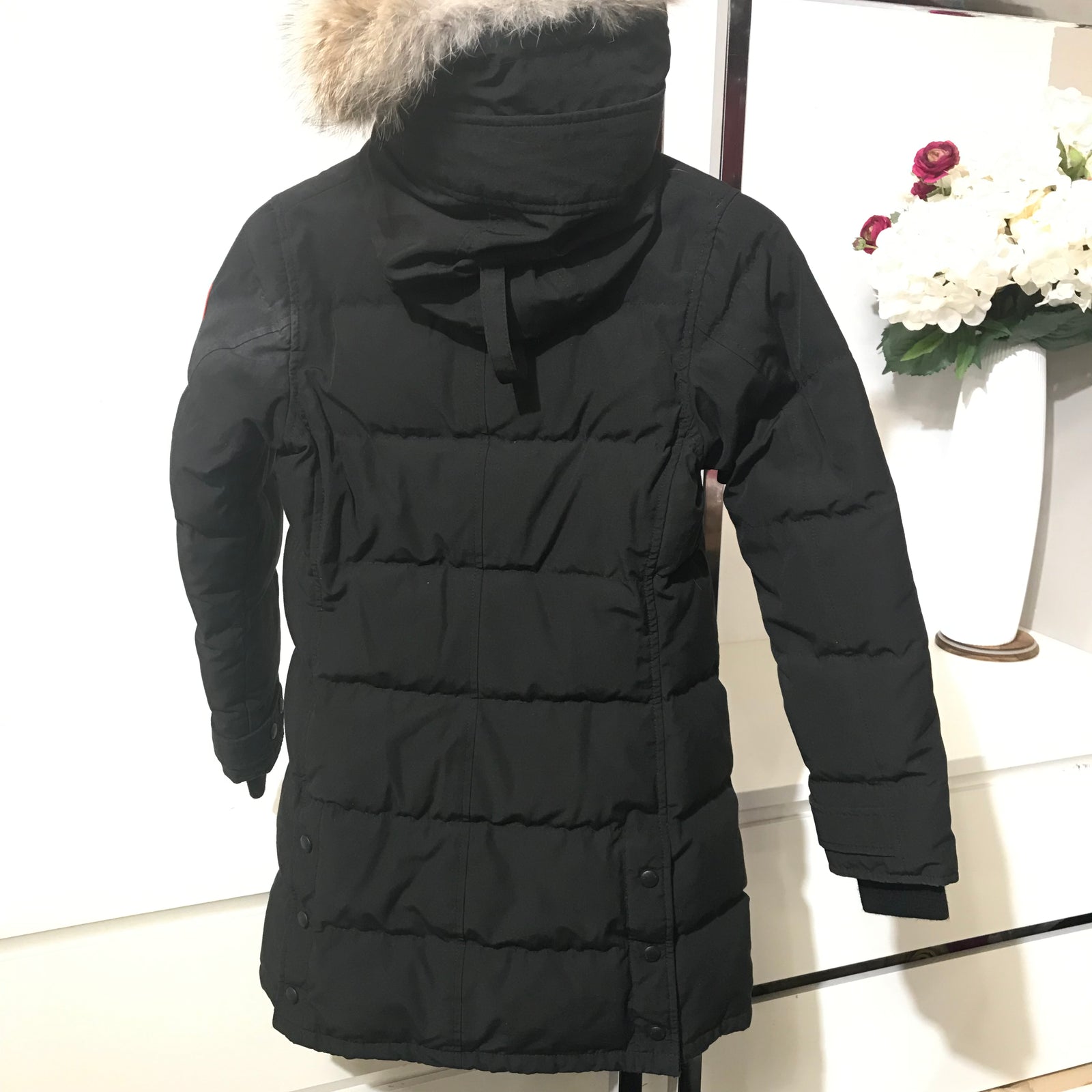 Canada Goose